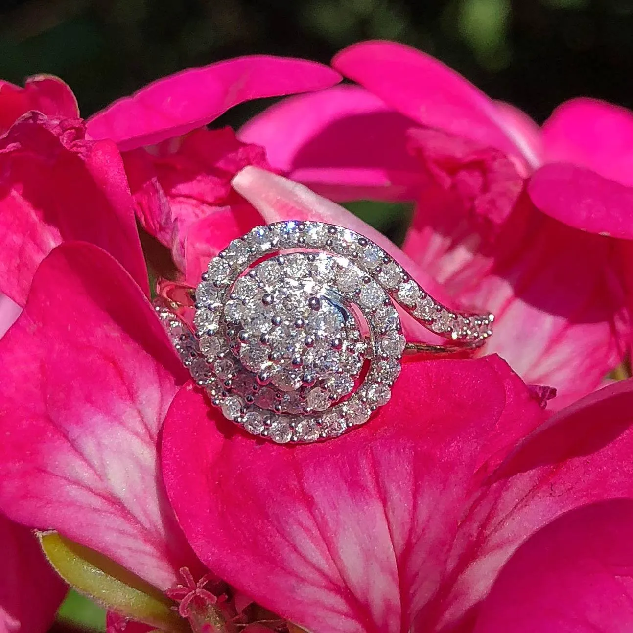 9ct Yellow Gold 1/2 Carat Diamond Ring Set with 59 Stunning Brilliant Diamonds Shiels