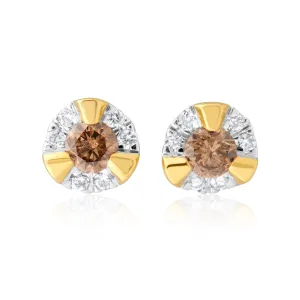 9ct Yellow Gold Australian Champagne Diamond Earrings with 1/4 Carat of Diamonds Shiels