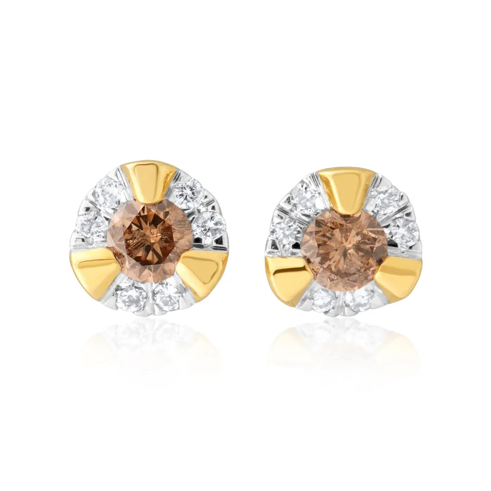 9ct Yellow Gold Australian Champagne Diamond Earrings with 1/4 Carat of Diamonds Shiels