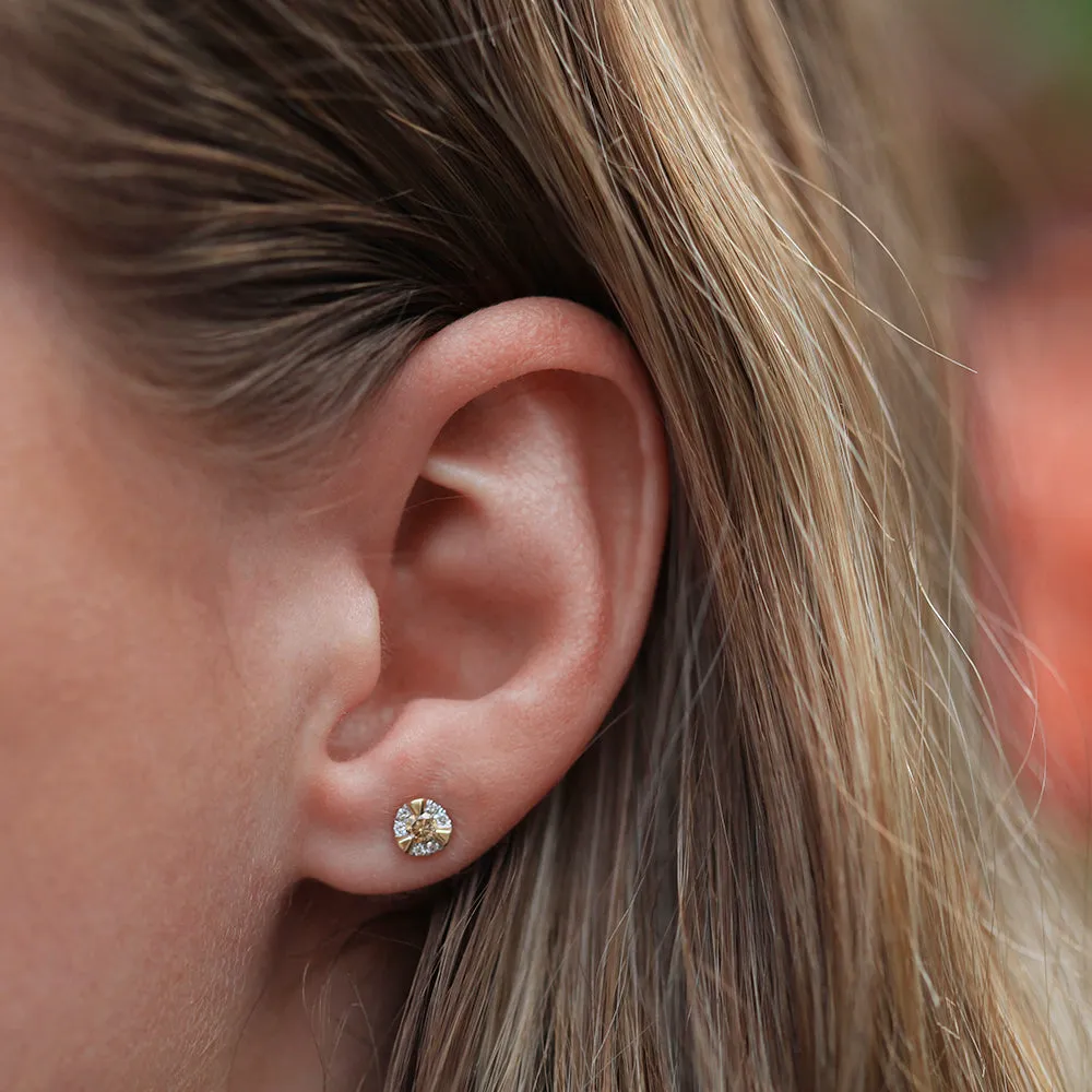 9ct Yellow Gold Australian Champagne Diamond Earrings with 1/4 Carat of Diamonds Shiels