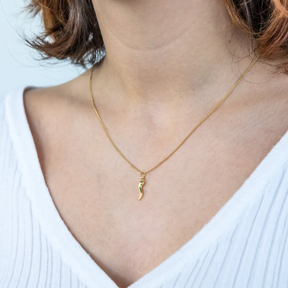 9ct Yellow Gold Silverfilled 15mm Italian Horn Pendant Shiels