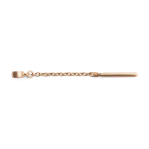 Charm Extension Chain Rose Gold Daniel Wellington