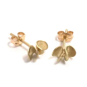 Gold Seed and Pod Stud Earrings Pieces of Eight