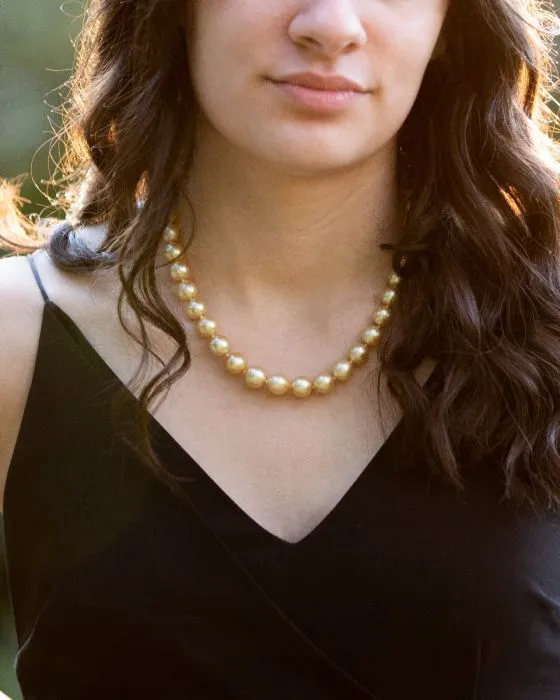 Golden South Sea 9-12mm Graduated Pearl 45cm Strand with 9ct Gold Clasp Shiels