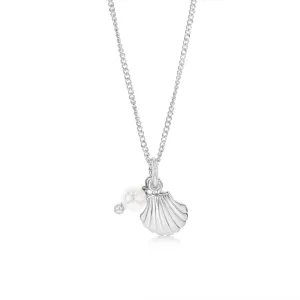 Sterling Silver Shell Pendant On 42 3cm Chain Shiels
